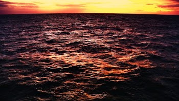 photography of body of water during sunset
