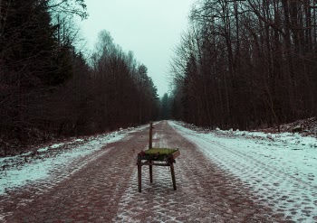 Photography of broken brown chair in the Middle of Road Surrounded by Trees