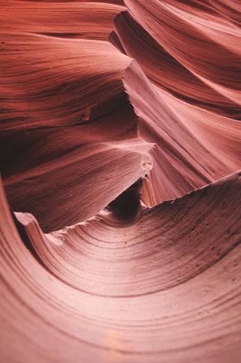 photography of brown rock