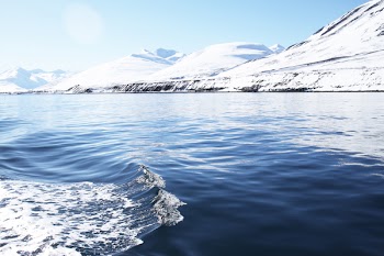 Photography of Calm Body of Water With Glacier Mountain