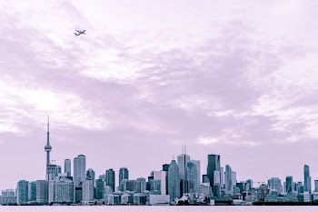 photography of city scape under plane at daytime
