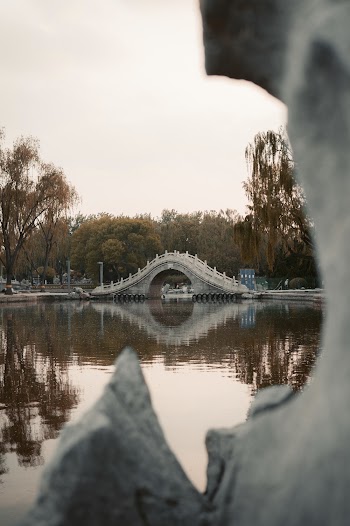 Photography of Concrete Bridge Beside Green-leafed Tree