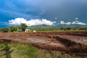 Photography of Empty Ricefield