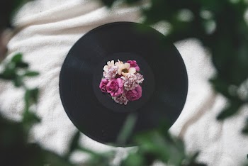 Photography of Flowers On Top of Vinyl Record
