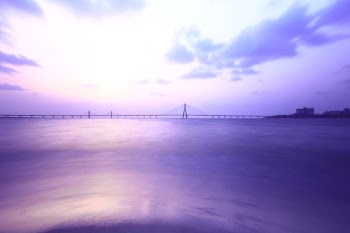 photography of footbridge