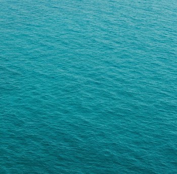 photography of green body of water