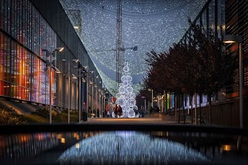 photography of lights