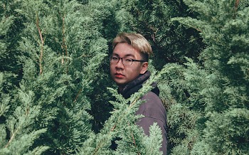 Photography of Man Near Pine Trees