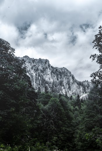 Photography of Mountain Range
