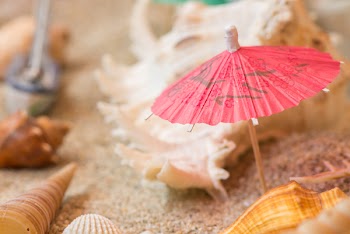 Photography of Oil Paper Umbrella