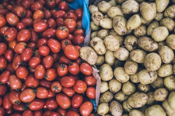 photography of orange tomatoes and brown potatoes