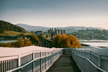Photography of Pathway Between Railings