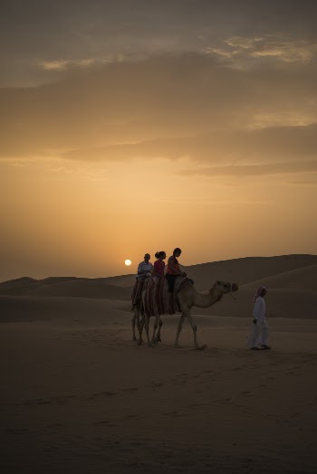 Photography of People Riding Camel during Sunset