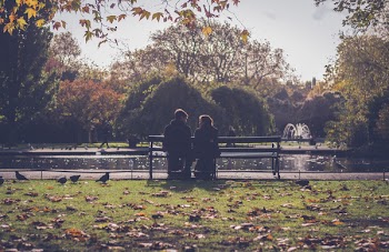 Photography of People Sitting on Bench
