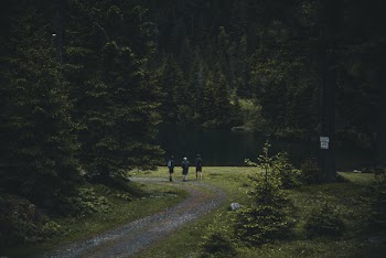 Photography of People Walking on Dirt Road