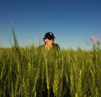 Photography of Person On Wheat Field