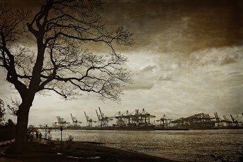 Photography of Power Plant Island Across Bare Tree