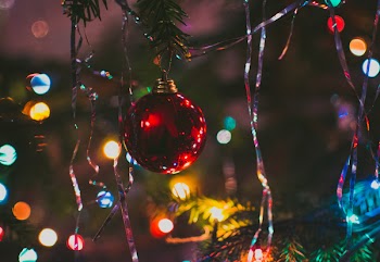 Photography of Red String Lights Hanging on Green Trees
