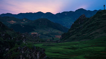 Photography of Rice Field during Golden Hour