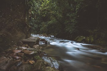 Photography of River
