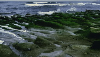 Photography Of Sea