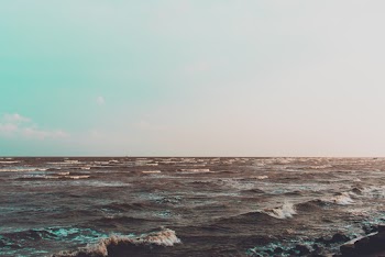 Photography of Seashore