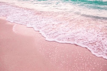 Photography of Seashore