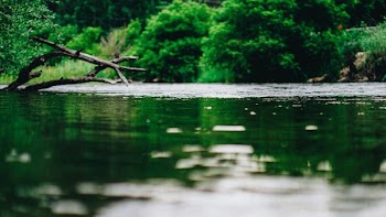 photography of stream