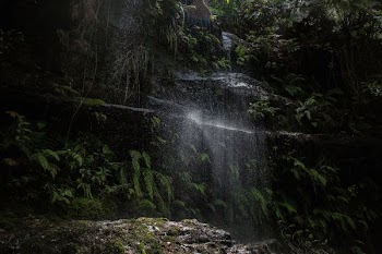 photography of waterfall
