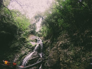 Photography of Waterfalls Near Trees