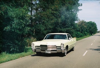 Photography of White Vintage Car