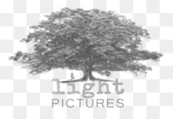Photography Photographer Character Illustration - The photographer 