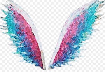 Photography PicsArt Photo Studio - angel wings 