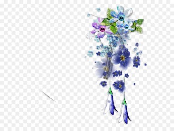 Photography, Picture Frames, Film, Flower, Plant PNG