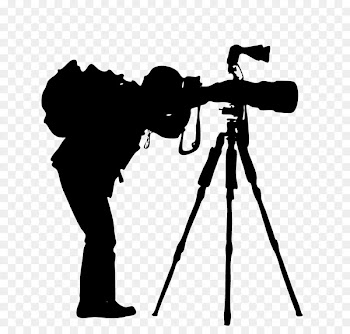 Photography Portrait Photographer Landscape - photographer 