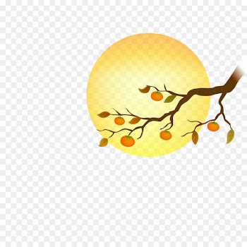 Photography Royalty-free Illustration - Full Moon decorative patterns 
