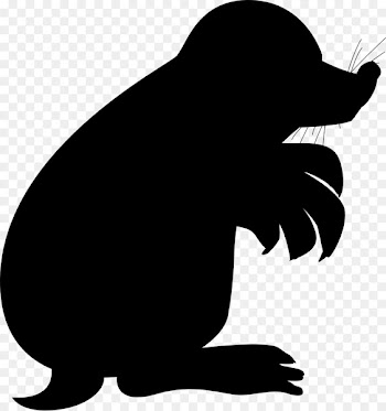 Photography Silhouette Sticker Image Bean Bag Chairs -  