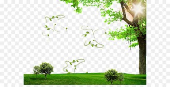 Photography - Spring poster background effect 
