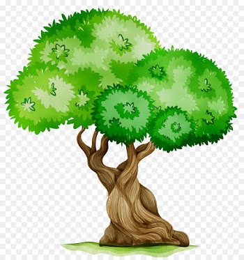 Photography, Stock Photography, Fotosearch, Green, Tree PNG
