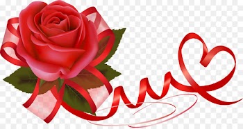 Photography Valentine's Day - red rose border 