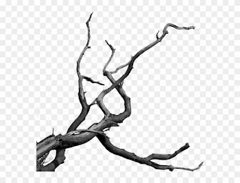 Photomanipulation By Sebastain - Dead Tree Branches Png
