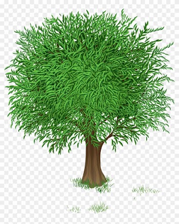 Photos Clipart Green Tree - Spring Tree Clipart