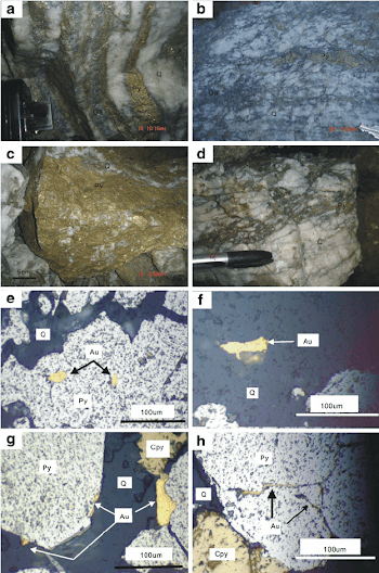 Photos of ores and gold minerals. a Zoned ore (quartz zone and ...