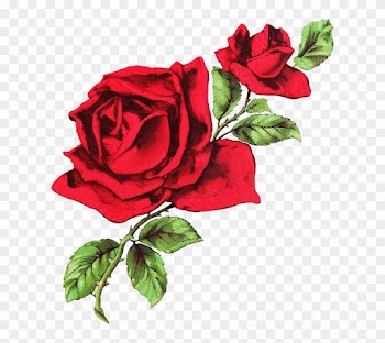 Photos Red Roses Drawing, - Aesthetic Rose Twitter Header