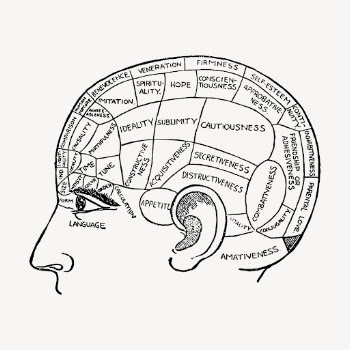 Phrenology chart clipart, vintage neurology | Free Vector - rawpixel
