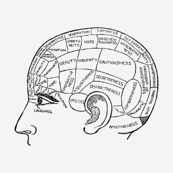 Phrenology chart drawing, vintage neurology | Free PSD - rawpixel