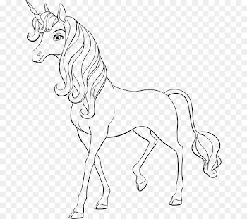 Phuddle Coloring book Drawing Ausmalbild - the european wind is simple 