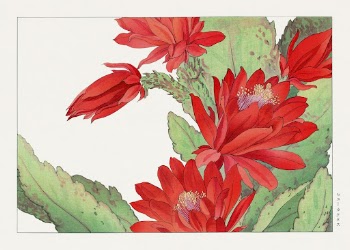 Phyiiocactus flower, Japanese woodblock art | Free Photo Illustration - rawpixel