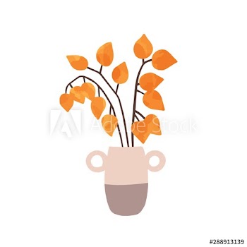 Physalis in vase hand drawn vector illustration