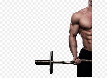 Physical fitness Bodybuilding Physical exercise - Fitness man being HD Photography 